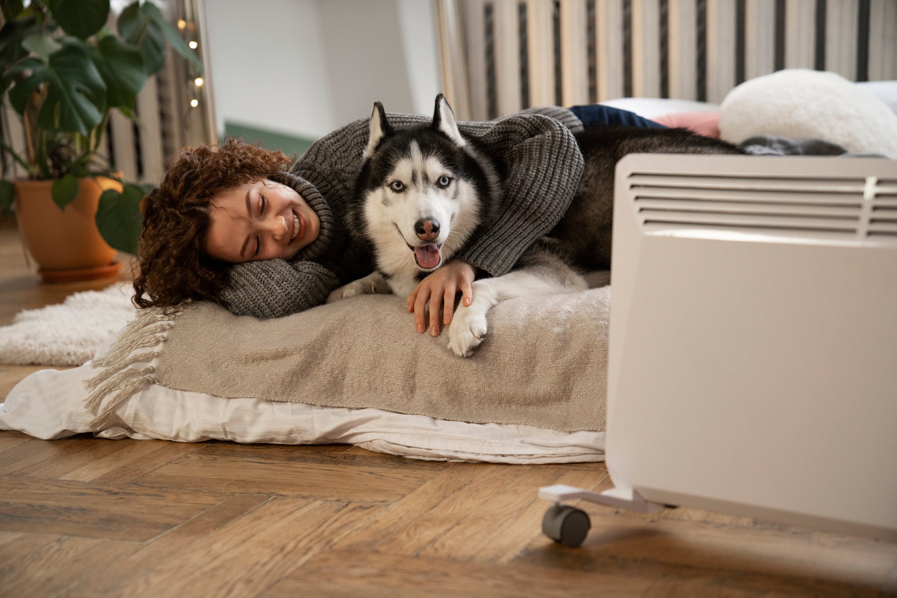 Koelmat voor honden kopen? Tips & advies | HappyHond