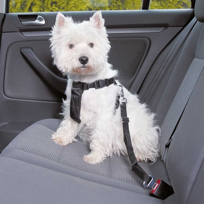 Trixie Hondentuig Auto zwart op een hond in de auto, veiligheidsgordel bevestigd.