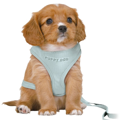 Trixie Junior Puppy mint green soft harness with leash on small dog