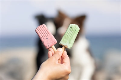 Trixie Ice Pop Roze