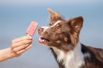 Trixie Ice Pop Roze